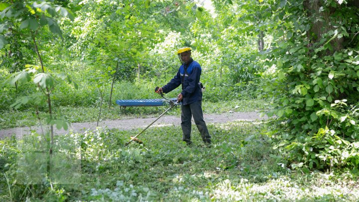 PEISAJE MIRIFICE. Vadul lui Vodă, cel mai verde oraş din Moldova (FOTOREPORT)