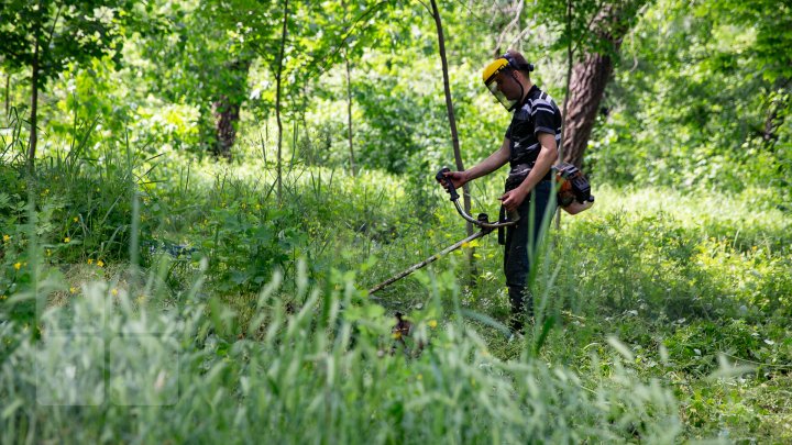 PEISAJE MIRIFICE. Vadul lui Vodă, cel mai verde oraş din Moldova (FOTOREPORT)