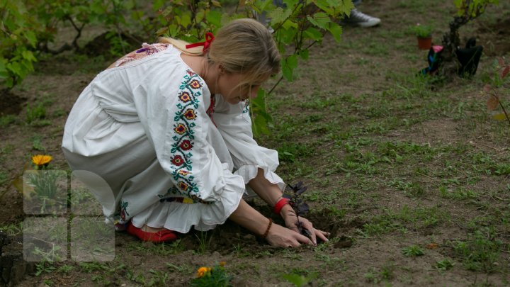 Festivalul de muzică clasică în aer liber revine la Orheiul Vechi. Când va avea loc "DESCOPERĂ 2019" 