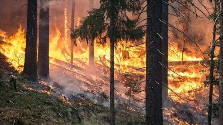 Indonezia: Suprafaţa distrusă în incendiile de pădure din 2019 depăşeşte nivelul din 2018