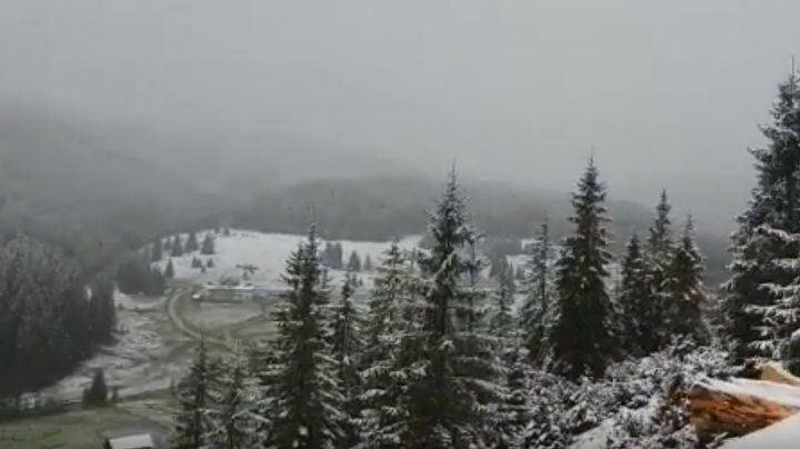 Peisaj glaciar în România. Cum arată zonele montane, acoperite de un strat gros de zăpadă (VIDEO)