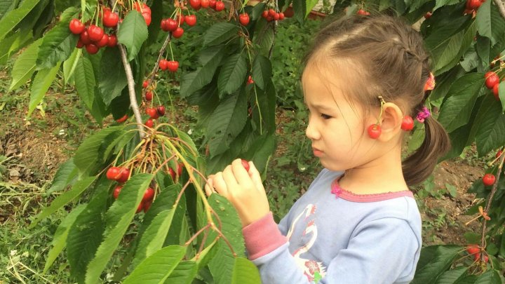 Exploraţi diaspora: Cum un moldovean a păşit şi prosperă pe pământ vietnamez. Acolo şi-a cunoscut şi marea dragoste (FOTO)