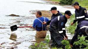 Salvatorii au intervenit în mai multe gospodării să pompeze apa după ploile abundente din ultimile zile