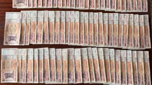 Schemă frauduloasă. SUTE DE MII DE LEI, dobândiți ILEGAL de conducerea Întreprinderii de Stat pentru Silvicultură