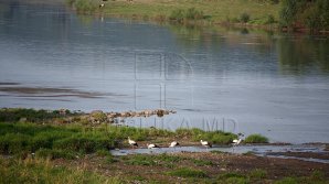 NOI PROIECTE ECOLOGICE. Primăria Chişinău va amenaja albia râului Durleşti