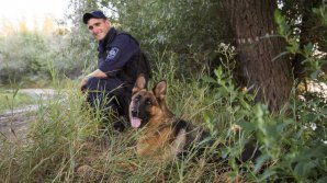 Situaţia la frontieră, în ultimele 24 de ore: Șase persoane au fost reținute