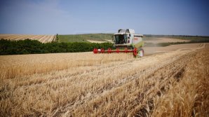 Agricultorii din ţară au început secerişul culturilor de primăvară