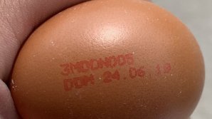 ANUNȚUL făcut de ANSA. Ce trebuie să știi înainte de a cumpăra OUĂ din supermarket