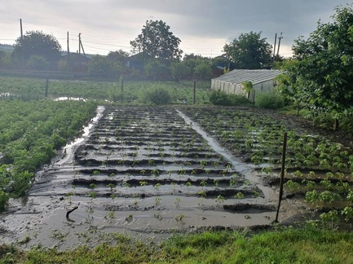 S-A DEZLĂNȚUIT CERUL în Moldova. Zeci de case inundate şi localităţi fără lumină (FOTO/VIDEO)