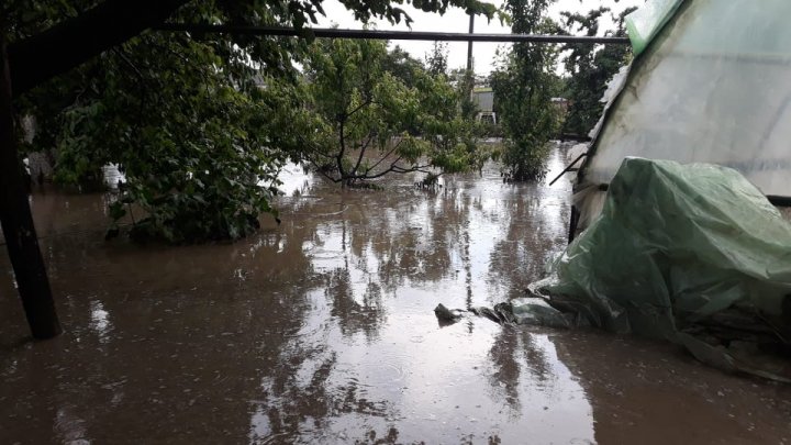 DEZASTRU în ţară, după ploile din ultima perioadă: Drumuri deteriorate, case inundate, culturi agricole şi livezi distruse