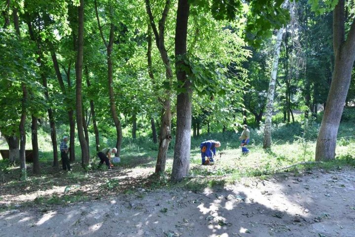 la Grădina Zoologică din capitală va fi amenajată o nouă volieră pentru urșii bruni (FOTO/VIDEO)