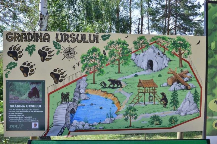 la Grădina Zoologică din capitală va fi amenajată o nouă volieră pentru urșii bruni (FOTO/VIDEO)