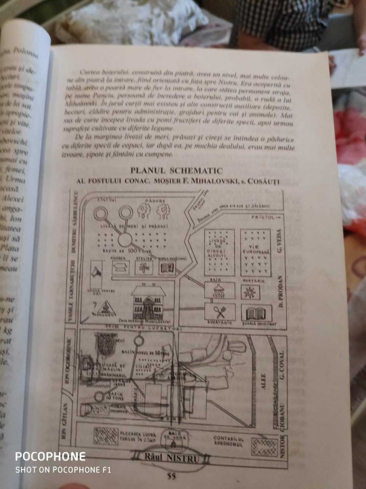 Percheziții soldate cu confiscarea obiectelor de cult și două pistoale pneumatice (FOTO)
