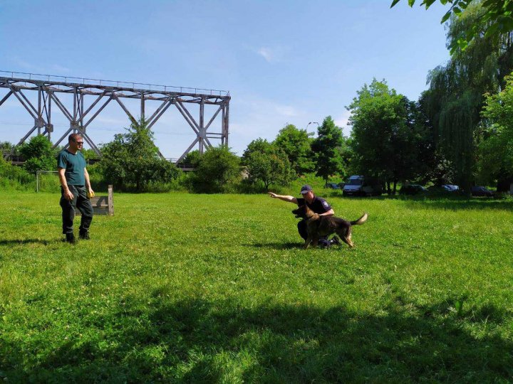 Un nou proiect de asistență externă în domeniul chinologic finisat cu succes (FOTO)