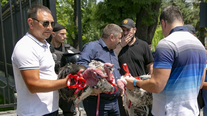 Miting în PMAN. Vlad Plahotniuc împreună cu susținătorii PDM AU IEȘIT SĂ APERE ordinea constituțională a țării (FOTO / LIVETEXT)