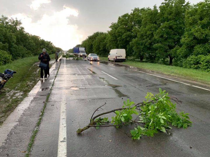 Imagini înfiorătoare la Bălţata. Asfaltul s-a ridicat, la propriu, din cauza unei crăpături (FOTO)