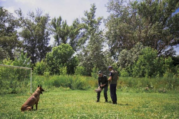 Un nou proiect de asistență externă în domeniul chinologic finisat cu succes (FOTO)