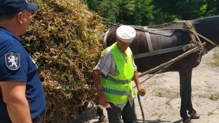 Pentru a evita accidentele, poliţiştii de patrulare au venit cu RECOMANDĂRI pentru căruţaşi (FOTO)