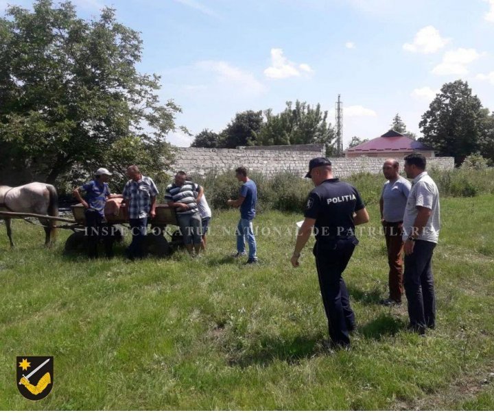 Pentru a evita accidentele, poliţiştii de patrulare au venit cu RECOMANDĂRI pentru căruţaşi (FOTO)