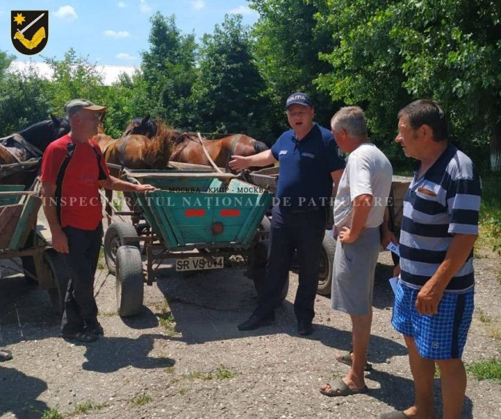 Pentru a evita accidentele, poliţiştii de patrulare au venit cu RECOMANDĂRI pentru căruţaşi (FOTO)