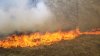 Studiu: Comunitățile trebuie să se adapteze la incendiile frecvente de vegetație