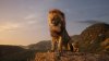 "The Lion King" continuă să domine Box Office-ul nord-american. Câte milioane de dolari a adunat în două săptămâni
