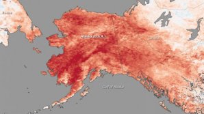 Avertisment fără precedent al meteorologilor din Alaska: Sunt așteptate temperaturi record