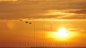 RECORD GLOBAL: Luna iunie, cea mai călduroasă din ultimii 140 de ani