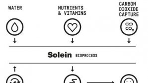 Uimitor. O companie finlandeză a inventat o pudră proteică realizată din CO2