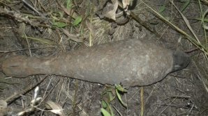 O femeie a găsit un explozibil într-o pădure din raionul Sângerei