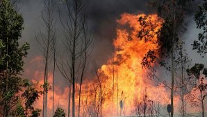 Situaţie alarmantă în Portugalia. Incendiile de vegetaţie fac prăpăd, iar mai mulţi oameni au fost răniţi (VIDEO)