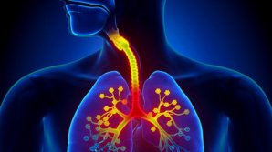 Amestecul natural din trei PLANTE care îţi curăţă plămânii