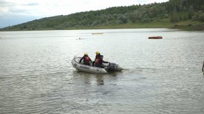 Descoperire macabră: Trupul unui bărbat descoperit pe malul unui iaz de lângă satul Budjac