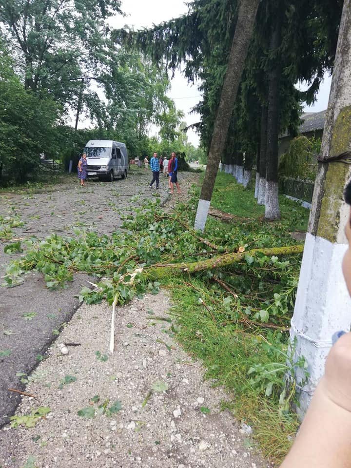 PRĂPĂD în satul Larga, raionul Briceni, după o PLOAIE cu GRINDINĂ (FOTO)