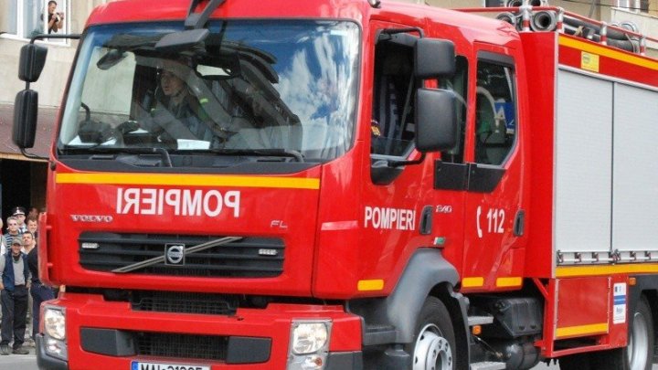 Sute de animale au murit într-un incendiu izbucnit la un adăpost din Buzău