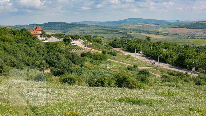 S-au plimbat prin podgorii şi au gustat din licoarea lui Bachus. Bloggeri şi fotografi, pe drumul vinului prin Moldova (FOTO/VIDEO)