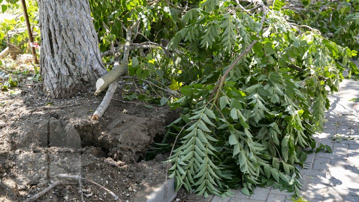 Tablou SUMBRU la Comrat după FURTUNA de ieri. Oamenii povestesc cu groază despre cele văzute (FOTOREPORT)