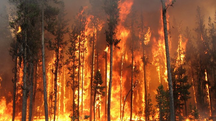 Stare de urgenţă în Hawaii din cauza incendiilor de vegetaţie