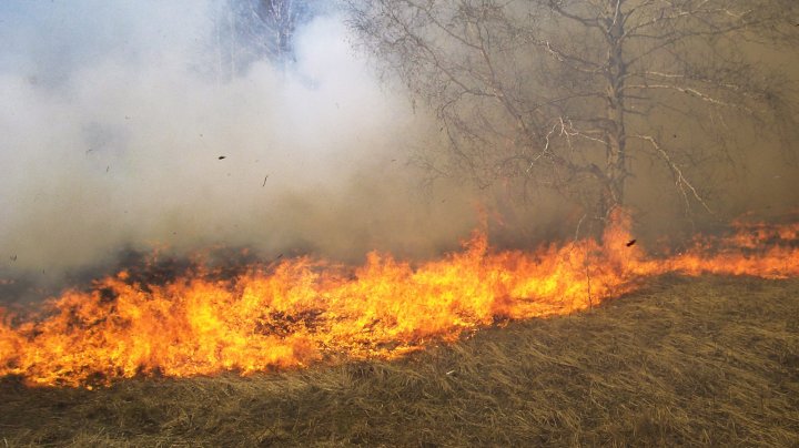 Incendiu de vegetaţie pe Insula Maui din Hawaii. Mii de locuitori şi turişti au fost evacuați