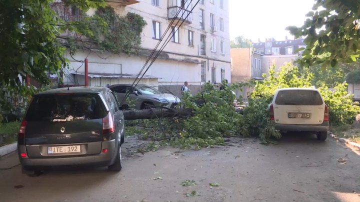 COPAC CĂZUT PESTE MAŞINI: Două maşini au fost avariate în sectorul Râşcani