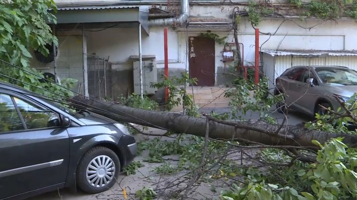 COPAC CĂZUT PESTE MAŞINI: Două maşini au fost avariate în sectorul Râşcani