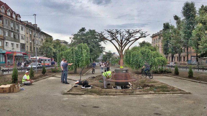 INEDIT! Copaci fotovoltaici, instalaţi pe străzile Capitalei (FOTOREPORT/VIDEO)