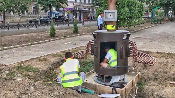 INEDIT! Copaci fotovoltaici, instalaţi pe străzile Capitalei (FOTOREPORT/VIDEO)