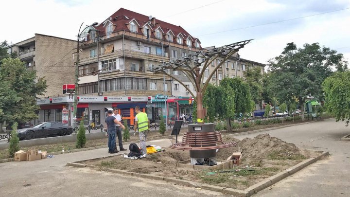 INEDIT! Copaci fotovoltaici, instalaţi pe străzile Capitalei (FOTOREPORT/VIDEO)