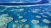 Marea Barieră de Corali din Australia, ameninţată de poluare