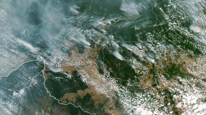 Cea mai mare pădure a planetei arde într-un ritm alarmant. Peste 9 mii de incendii, în doar câteva zile