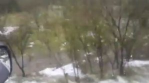 FURTUNĂ CU GRINDINĂ ÎN ARGEŞ. O ploaie de câteva minute a acoperit solul cu gheaţă