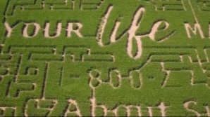 Un fermier din Wisconsin a creat un labirint în lanul de porumb 