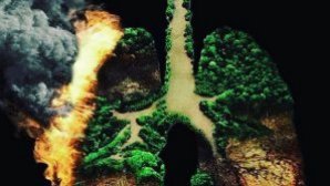 INCENDIILE, DISCUTATE LA G7. Mii de focare necontrolate distrug fără milă plămânii Planetei, iar eforturile pompierilor practic nu dau rezultate