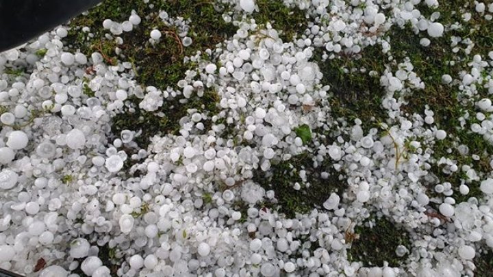 PRĂPĂD la Glodeni. O ploaie cu grindină a distrus totul în satul Camenca (IMAGINI SUMBRE)